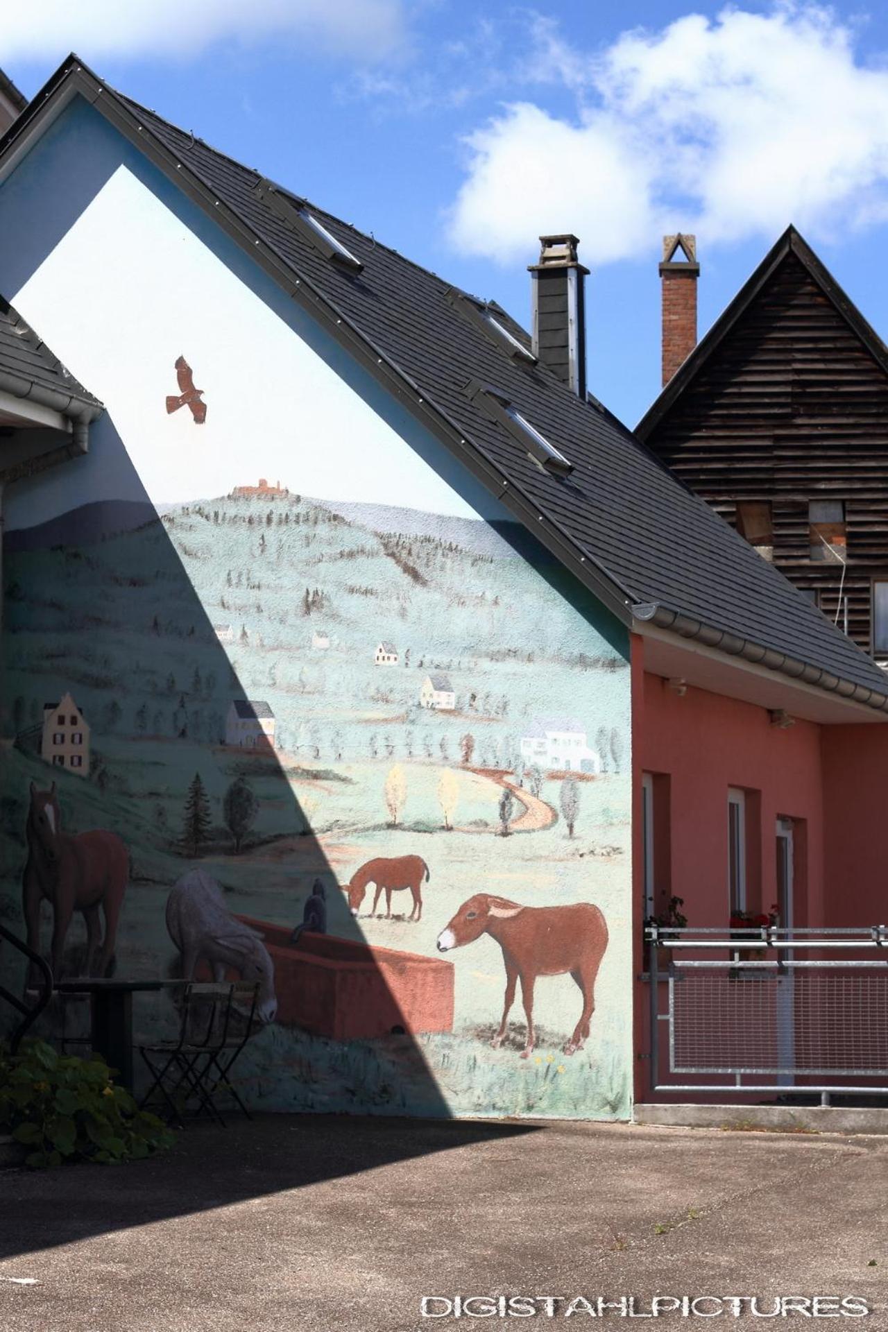 Gite A La Montagne Labaroche Buitenkant foto